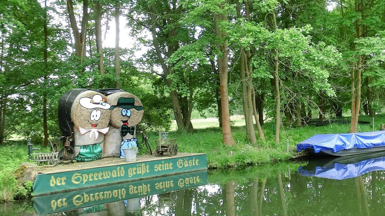 AreaSummer1KM AreaSummer1KM